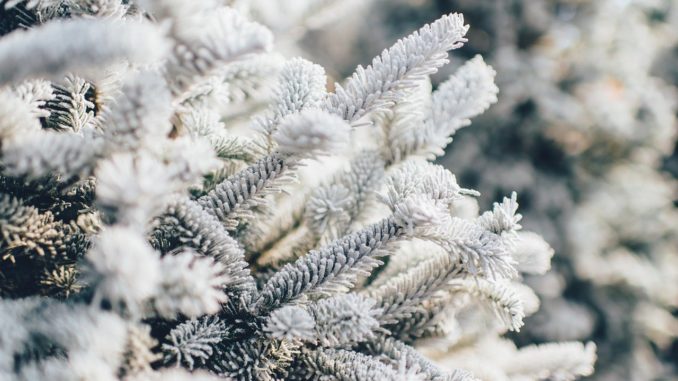 frosty-1081851_1280